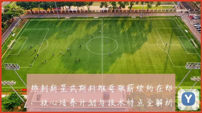 热刺新星武斯科维奇涨薪续约在即，核心培养计划与技术特点全解析